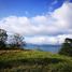  Land for sale in Guanacaste, Tilaran, Guanacaste