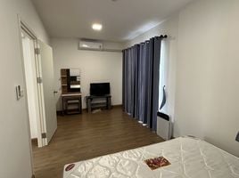 3 Schlafzimmer Haus zu vermieten im Pruksa Ville 115, San Klang, San Kamphaeng