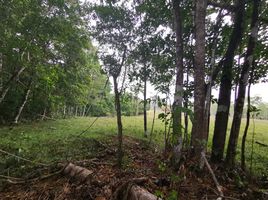 Land for sale in Alajuela, Guatuso, Alajuela