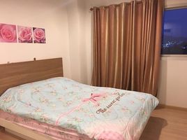 1 Schlafzimmer Wohnung zu verkaufen im T Plus Condo, Nong Mai Daeng