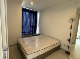1 Schlafzimmer Appartement zu vermieten im Rhythm Sukhumvit 42, Phra Khanong