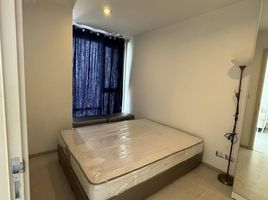 1 Schlafzimmer Wohnung zu vermieten im Rhythm Sukhumvit 42, Phra Khanong