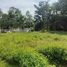  Land for sale in Bophut Beach, Bo Phut, Maenam