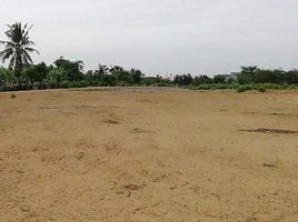  Land for sale in Nakhon Pathom, Thammasala, Mueang Nakhon Pathom, Nakhon Pathom