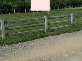  Land for sale in Saraphi, Chiang Mai, Don Kaeo, Saraphi