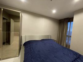 1 Schlafzimmer Appartement zu vermieten im Ideo Mobi Bangsue Grand Interchange, Bang Sue, Bang Sue, Bangkok