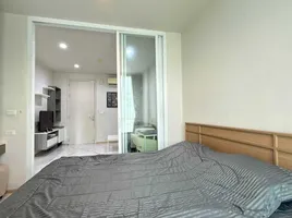 1 Bedroom Condo for rent at The Base Downtown, Wichit, Phuket Town, Phuket