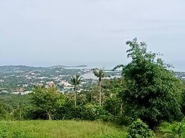 Land for sale in Thailand, Bo Phut, Koh Samui, Surat Thani, Thailand