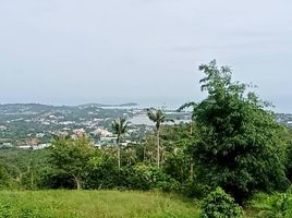  Land for sale in Surat Thani, Bo Phut, Koh Samui, Surat Thani