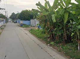  Grundstück zu verkaufen in Khlong Luang, Pathum Thani, Khlong Nueng, Khlong Luang, Pathum Thani