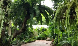 4 Bedrooms House for sale in Bang Chak, Bangkok 