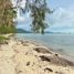  Grundstück zu verkaufen in Koh Samui, Surat Thani, Ang Thong, Koh Samui, Surat Thani