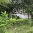  Land for sale in Hat Yai, Songkhla, Khlong Hae, Hat Yai