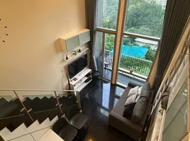 1 Bedroom Condo for rent at Ideo Morph 38, Phra Khanong, Khlong Toei, Bangkok