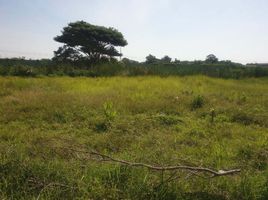  Land for sale in Pathum Thani, Lam Luk Ka, Lam Luk Ka, Pathum Thani