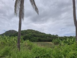  Grundstück zu verkaufen in Pran Buri, Prachuap Khiri Khan, Wang Phong, Pran Buri