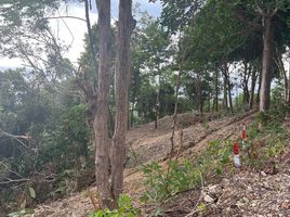  Land for sale in Ko Lanta Noi, Ko Lanta, Ko Lanta Noi