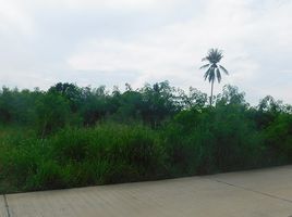  Land for sale in Ban Chang, Rayong, Phla, Ban Chang