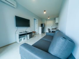 1 Bedroom Apartment for rent at ZCAPE III, Wichit