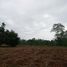  Land for sale in Tha Sao, Sai Yok, Tha Sao