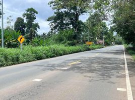  Grundstück zu verkaufen in Bo Rai, Trat, Nong Bon, Bo Rai