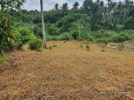  Grundstück zu verkaufen in Bang Saphan, Prachuap Khiri Khan, Thong Mongkhon