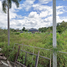  Land for sale in Rim Kok, Mueang Chiang Rai, Rim Kok