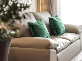 1 Bedroom Condo for rent at Ideo Q Sukhumvit 36, Khlong Tan, Khlong Toei, Bangkok, Thailand