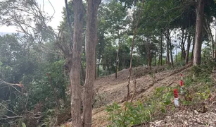 N/A Land for sale in Ko Lanta Noi, Krabi 