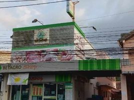 3 Schlafzimmer Shophaus zu vermieten in Thalang, Phuket, Choeng Thale, Thalang