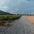  Grundstück zu verkaufen in Khlong Phai, Nakhon Ratchasima, Khlong Phai, Sikhio