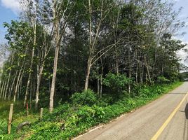  Land for sale in Nakhon Si Thammarat, Ban Khuan Mut, Chulabhorn, Nakhon Si Thammarat