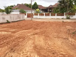  Grundstück zu verkaufen im Green Ville , Wat Pradu, Mueang Surat Thani