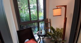 ยูนิตมือสองและให้เช่า