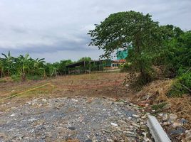  Land for sale in Nonthaburi, Bang Khu Rat, Bang Bua Thong, Nonthaburi
