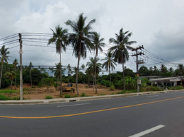  Grundstück zu verkaufen in Koh Samui, Surat Thani, Maret