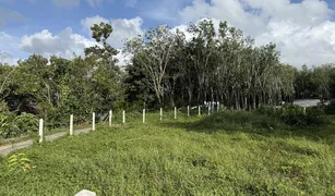 N/A Land for sale in Si Sunthon, Phuket 