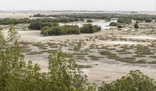 Saadiyat Beach, अबू धाबी Al Jubail Island में 4 बेडरूम विला बिक्री के लिए