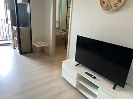 1 Bedroom Condo for rent at Nue Noble Srinakarin - Lasalle, Samrong Nuea, Mueang Samut Prakan, Samut Prakan