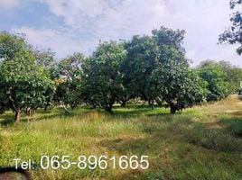  Land for sale in Khok Sa-At, Nong Saeng, Khok Sa-At