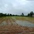  Land for sale in Yasothon, Sam Yaek, Loeng Nok Tha, Yasothon