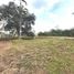  Land for sale in Brazil, Careiro, Amazonas, Brazil