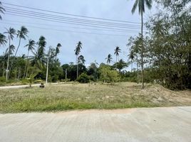  Land for sale in Surat Thani, Maenam, Koh Samui, Surat Thani