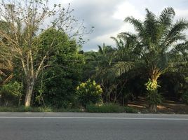  Land for sale in Ranong, Bang Phra Nuea, La-Un, Ranong