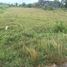  Land for sale in Pran Buri, Prachuap Khiri Khan, Pak Nam Pran, Pran Buri