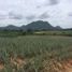  Land for sale in Thailand, Nong Phlap, Hua Hin, Prachuap Khiri Khan, Thailand