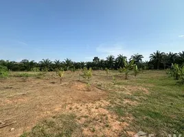  Grundstück zu verkaufen in Thalang, Phuket, Mai Khao