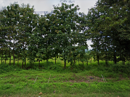  Land for sale in Mae Puem, Mueang Phayao, Mae Puem