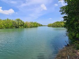  Land for sale in Mai Khao, Phuket, Mai Khao, Thalang