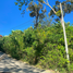  Land for sale in Kathu, Phuket, Kamala, Kathu